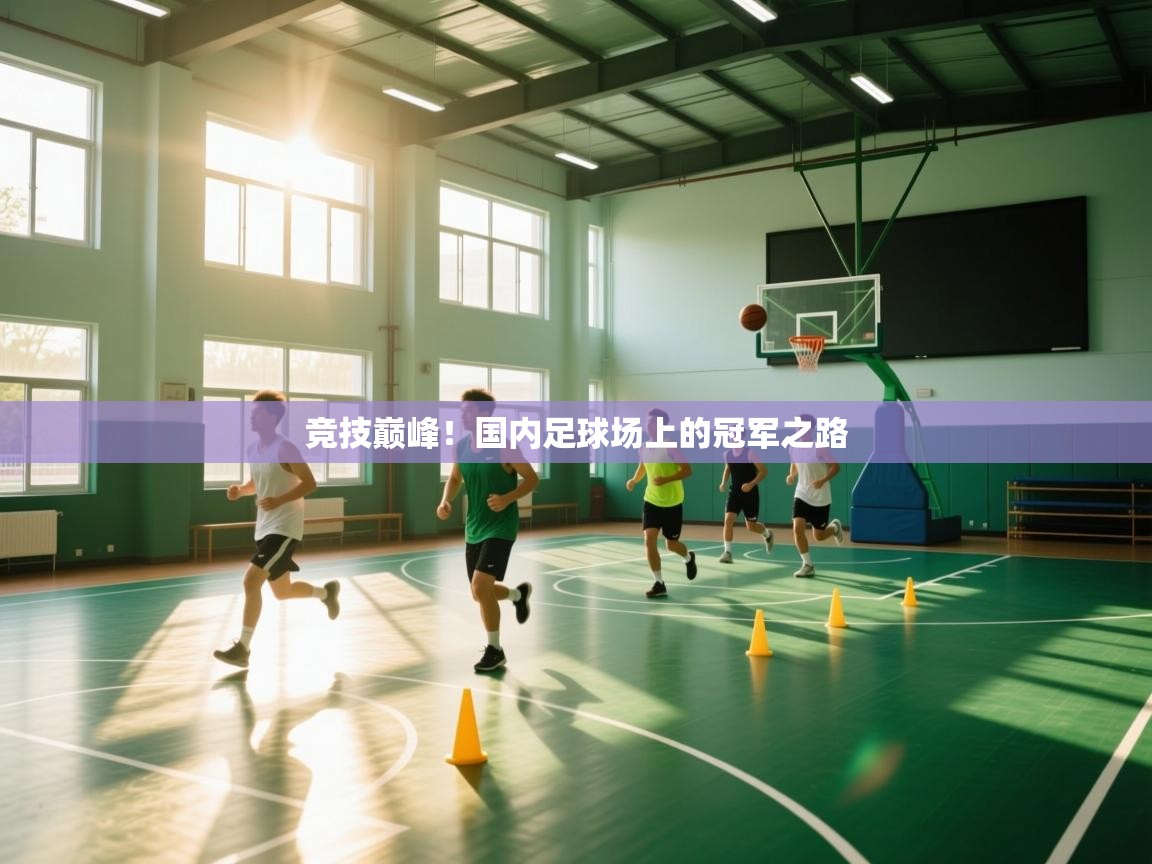 竞技巅峰！国内足球场上的冠军之路  第2张