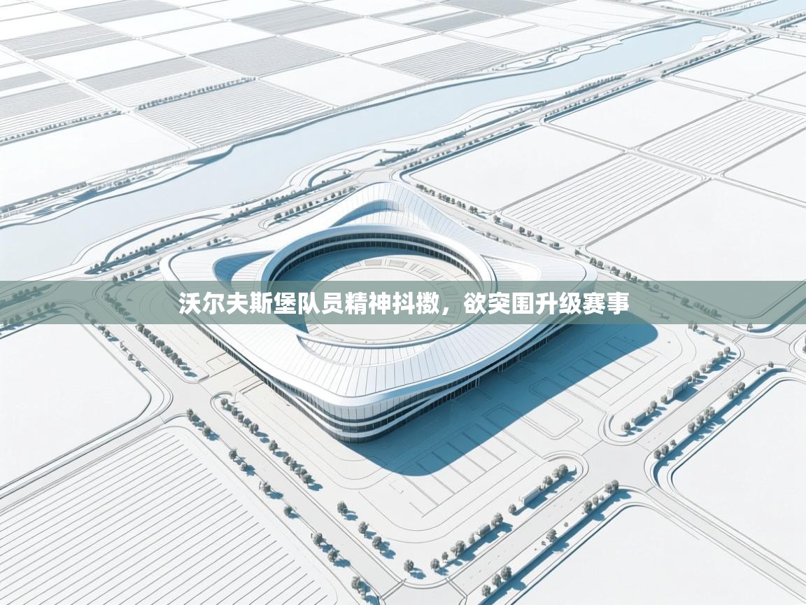 沃尔夫斯堡队员精神抖擞，欲突围升级赛事  第2张