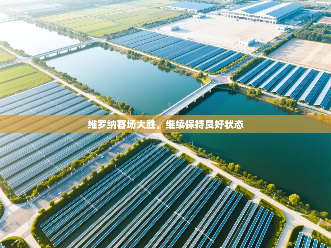 维罗纳客场大胜,继续保持良好状态 第1张