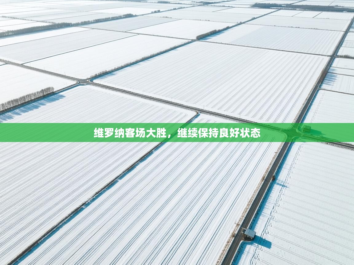 维罗纳客场大胜,继续保持良好状态 第2张