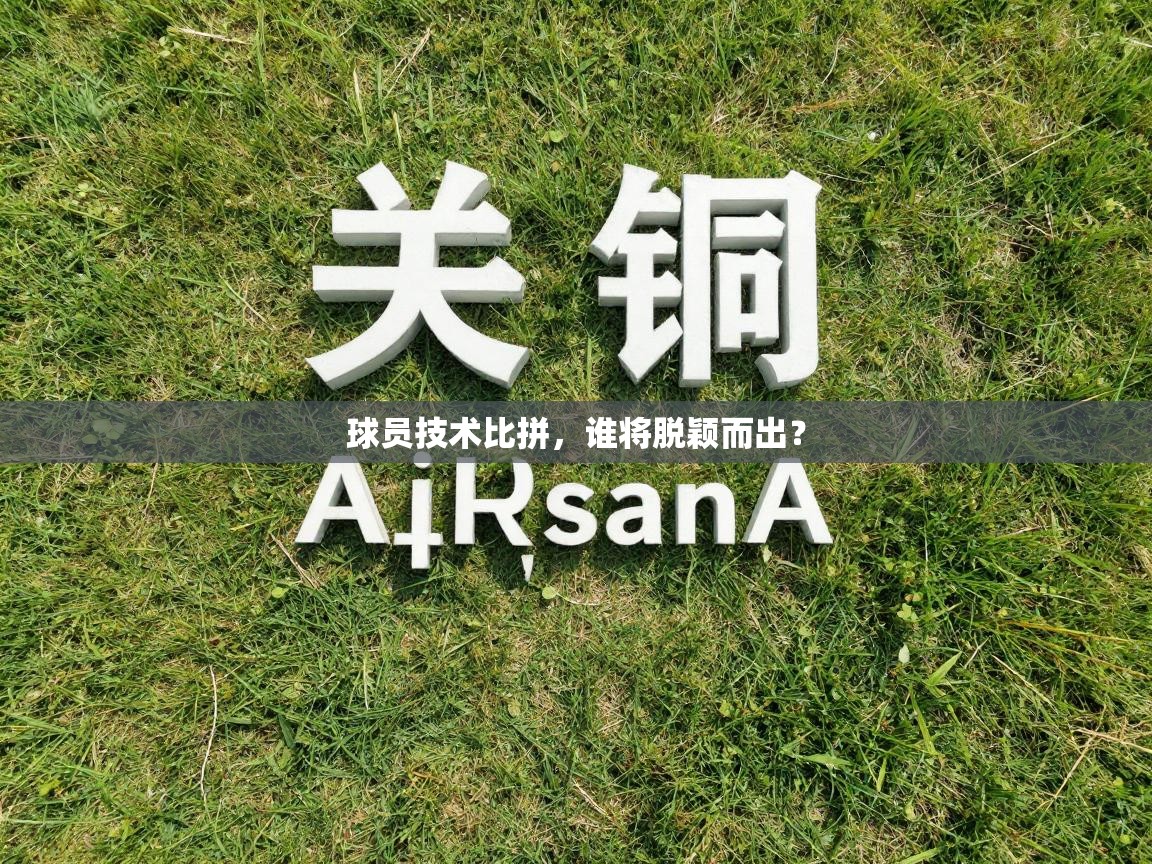 球员技术比拼,谁将脱颖而出? 第2张